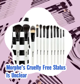 Morphe brush set