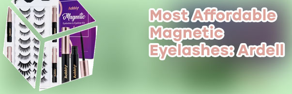 Reviews for magnetic eyeliner and lashes